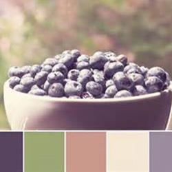 Kitchen Trends and Inspiration - Soft Colors