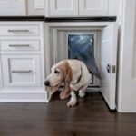 Pet Friendly Kitchen Design - Cabinet Doggy Door